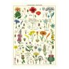 Decor JK Adams Wall Art | Cavallini Vintage Poster Wildflowers