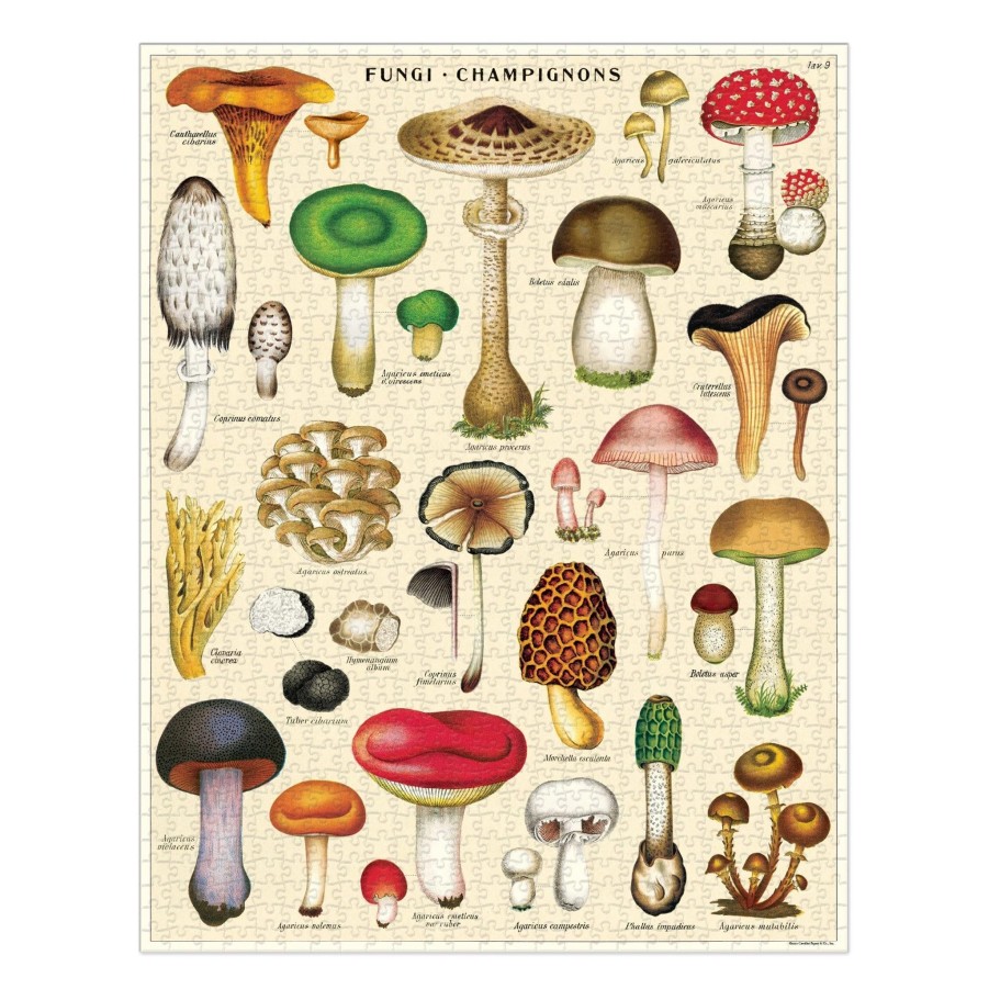 Decor JK Adams | Cavallini 1,000 Piece Puzzle Mushrooms