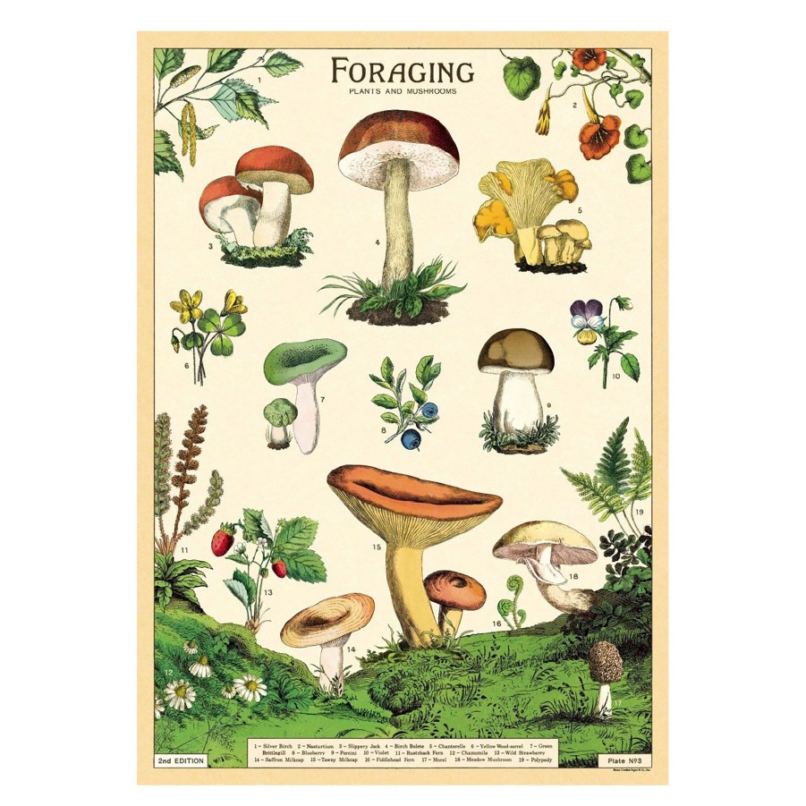 Decor JK Adams Wall Art | Cavallini Vintage Poster Forage