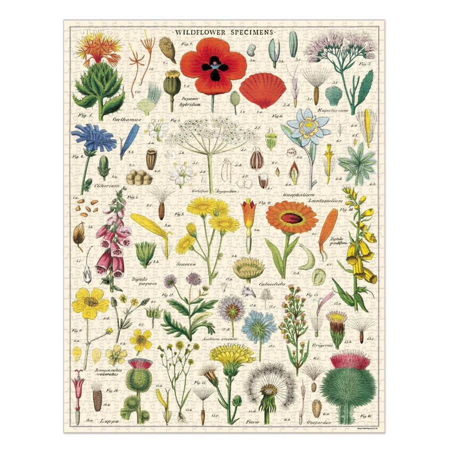 Decor JK Adams | Cavallini 1,000 Piece Puzzle Wildflowers