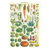 Decor JK Adams Wall Art | Cavallini Vintage Poster Le Jardin